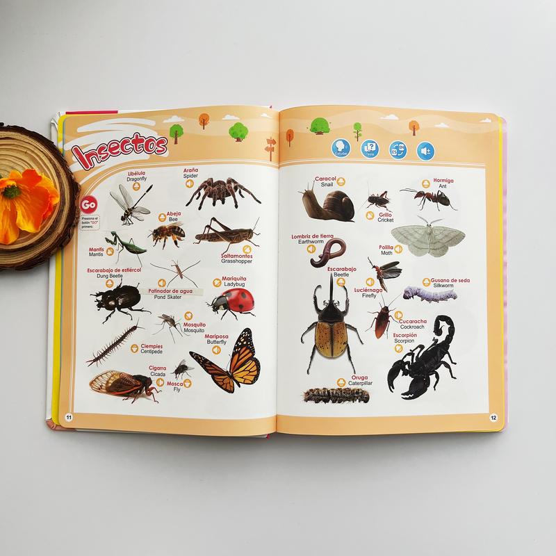 Libro Interactivo Educativo Bilingüe para Niños