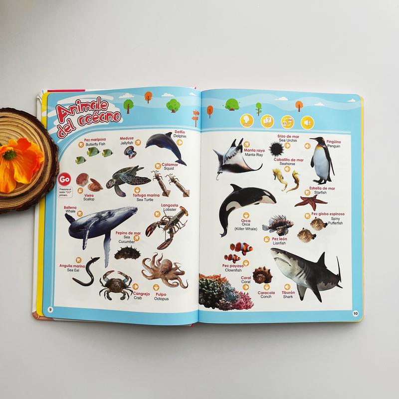 Libro Interactivo Educativo Bilingüe para Niños