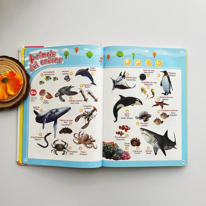 Libro Interactivo Educativo Bilingüe para Niños