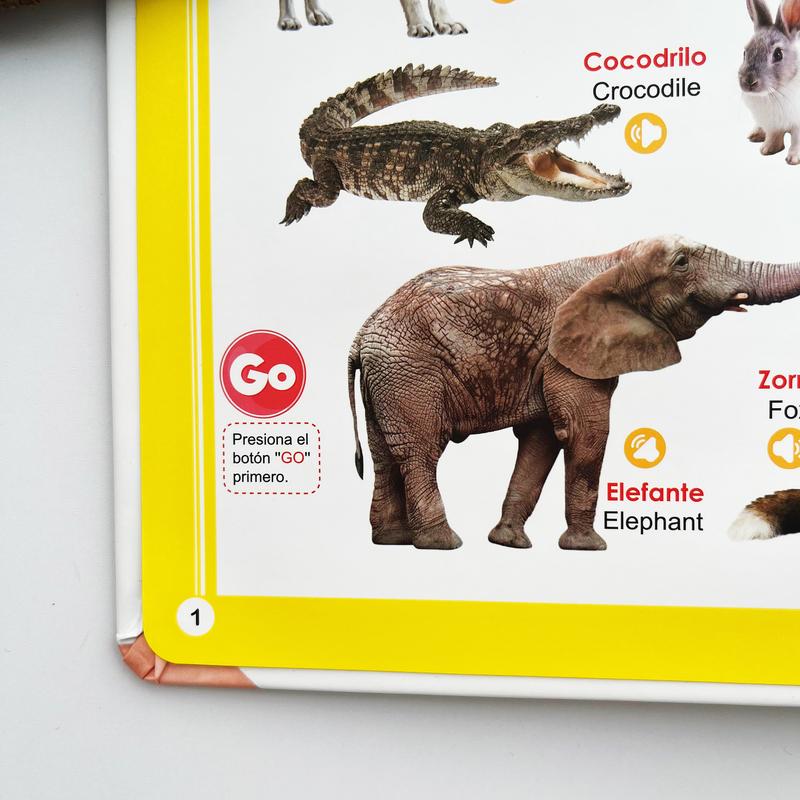 Libro Interactivo Educativo Bilingüe para Niños